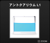 アントクアリウムＬ1