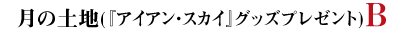月の土地(『アイアン・スカイ』グッズプレゼント)B