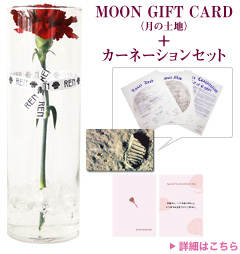 MOON GIFT CARD（月の土地）＋カーネーションセット