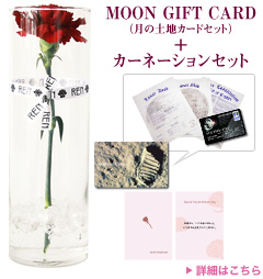 MOON GIFT CARD（月の土地カードセット）＋カーネーションセット