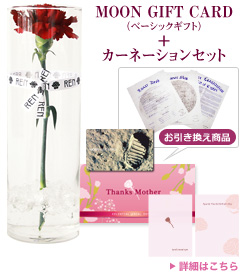MOON GIFT CARD(ベーシックギフト)+カーネーションセット