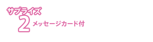 サプライズ2:メッセージカード付!
