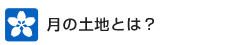 月の土地とは？