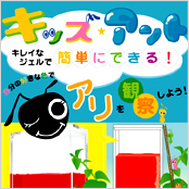 キッズアント あか
