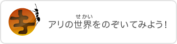 アリの世界をのぞいてみよう！