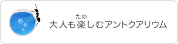 大人も楽しむアントクアリウム