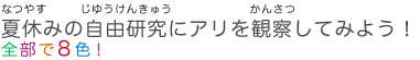 夏休みの自由研究にアリを観察してみよう！ 全部で８色！