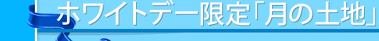 ホワイトデー限定「月の土地」
